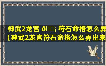 神武2龙宫 🐡 符石命格怎么弄（神武2龙宫符石命格怎么弄出来）